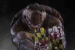 Maryland Gives Mascot a SCARY Makeover
