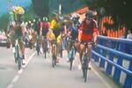 Cyclists Come to Blows Mid-Race