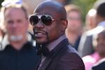 Mayweather Apologizes for Comments About Ray Rice