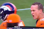 So, Peyton Was a Little Upset with His Tight End