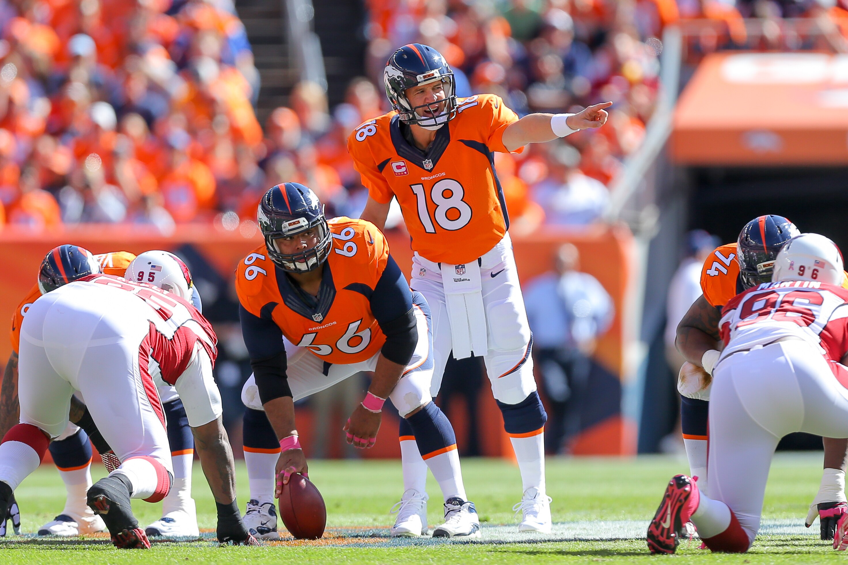 Scores and Highlights