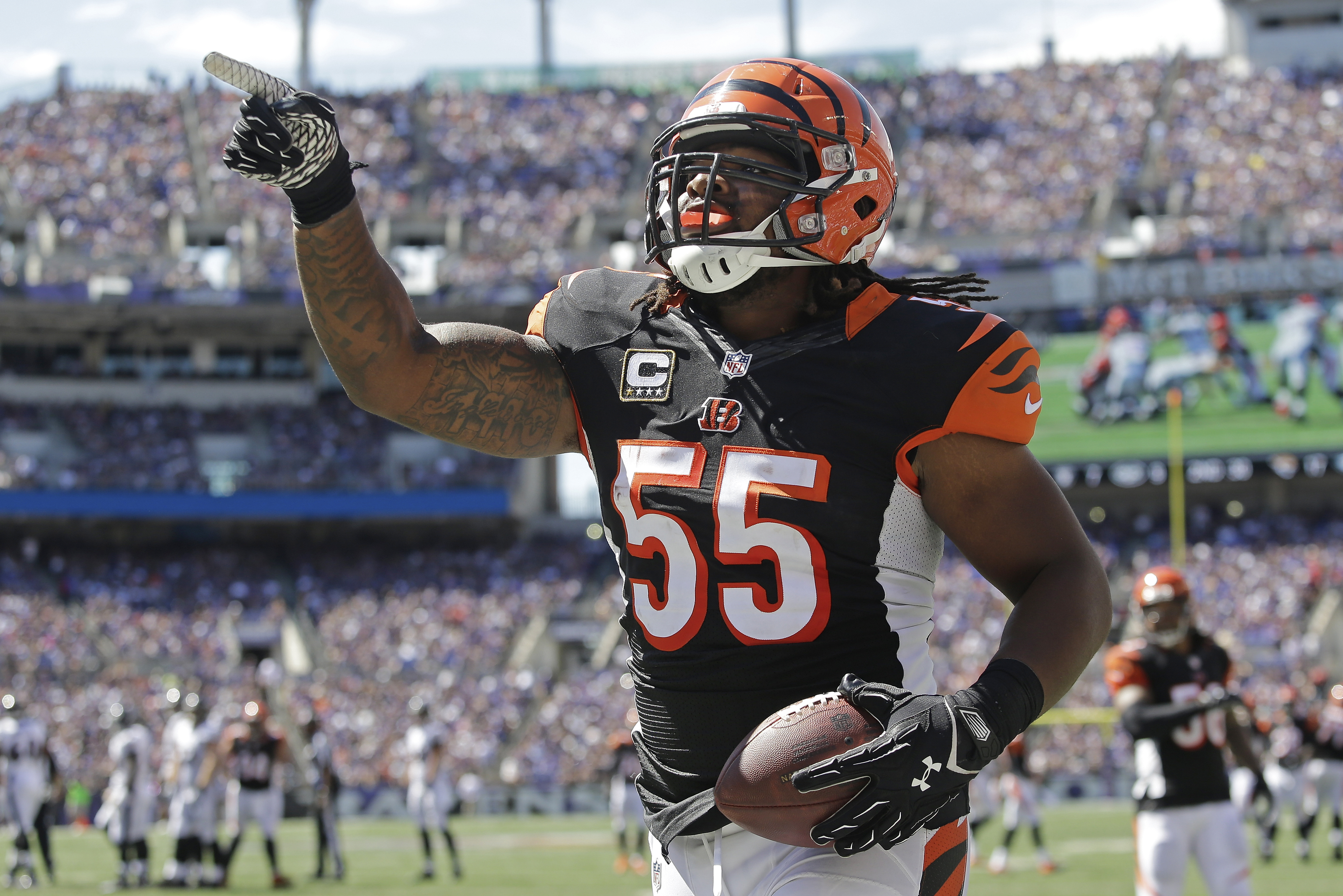 Panthers vs. Bengals Live Score and Analysis for Cincinnati Bleacher