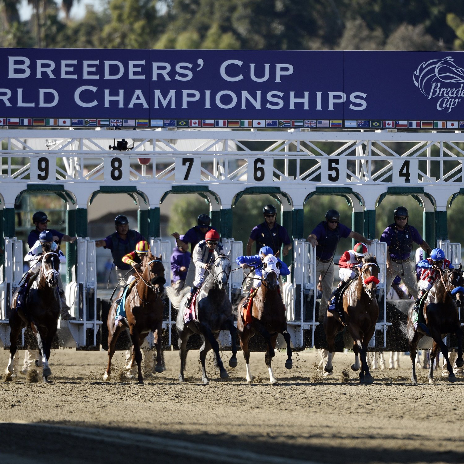 Breeders