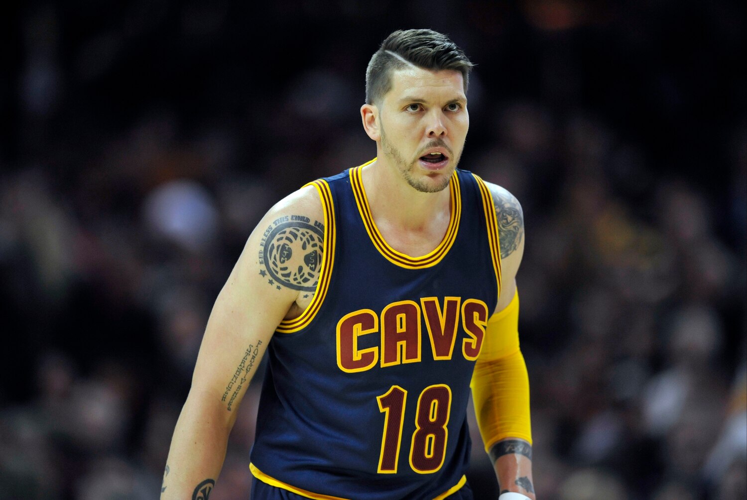 Mike Miller Net Worth