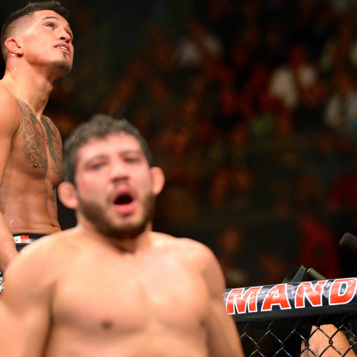 UFC 181: Anthony Pettis Makes Up for Lost Time, Subs Gilbert Melendez in 2nd ...