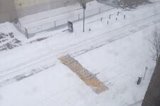 77502628c99cab7d3a4c3508d869d90a_crop_north