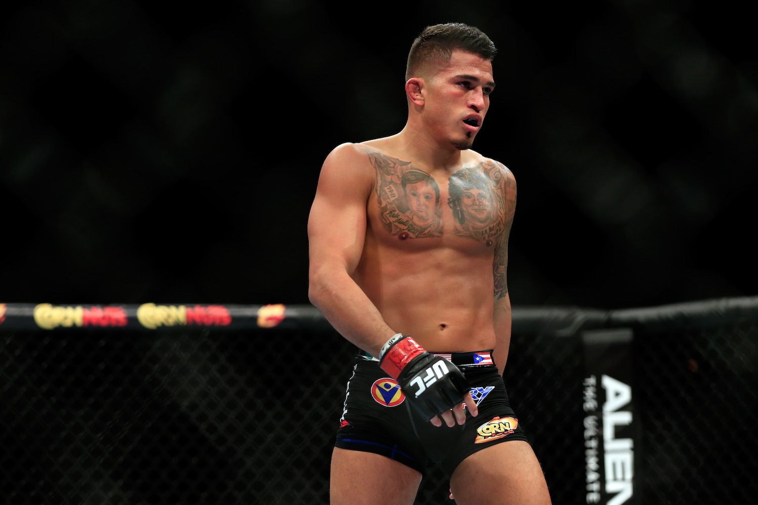 Did This Ufc Fighter Cross The Line? - getpyqb