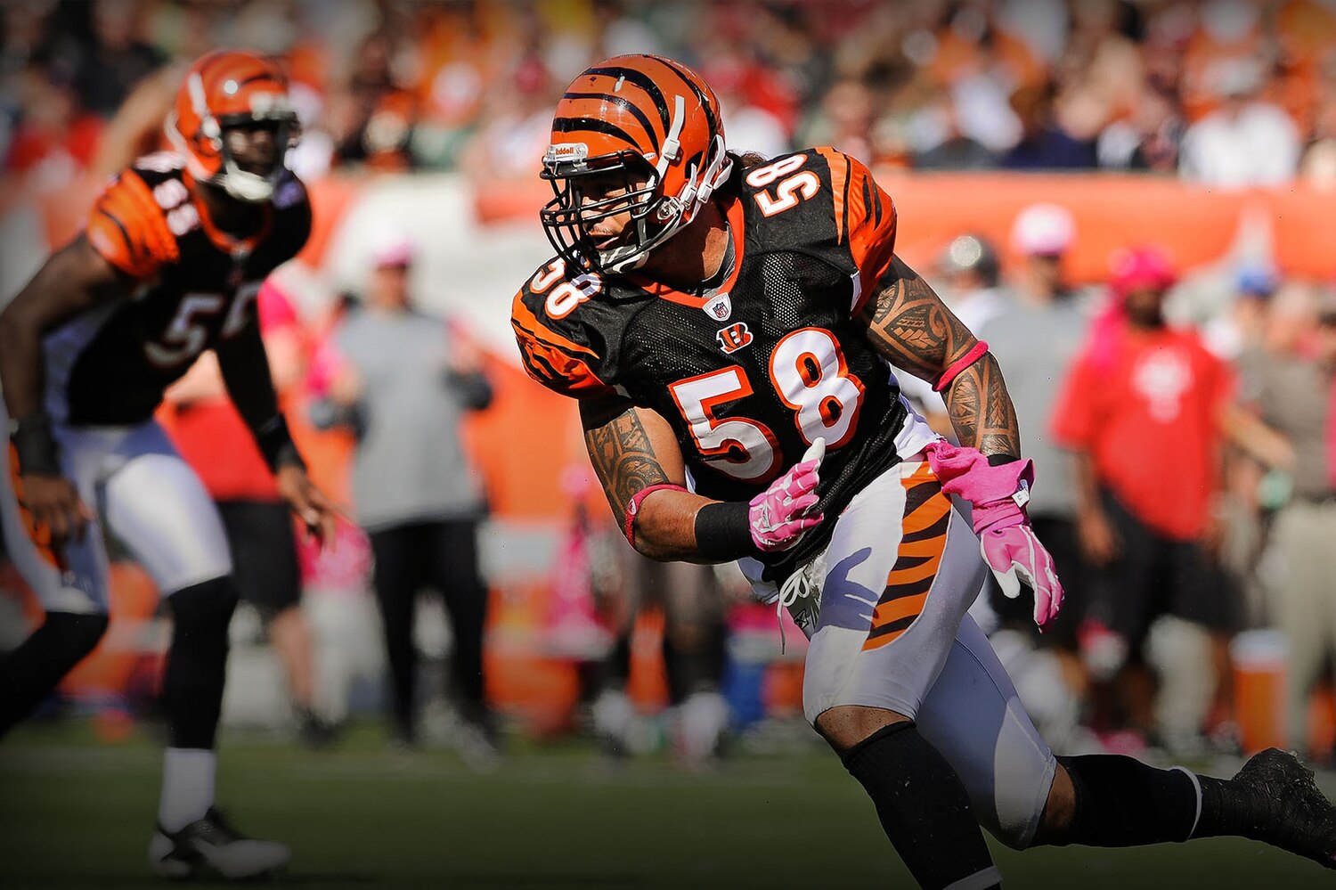 The Latest Cincinnati Bengals News (Bleacher Report) SportSpyder