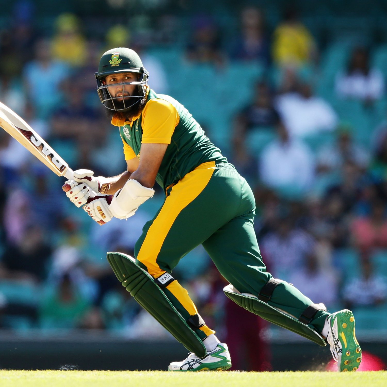 South Africa vs. Pakistan: Date, Live Stream, TV Info ... - 1500 x 1500 jpeg 245kB