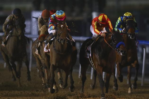2015 Kentucky Derby Contenders: 5 Horses to Watch