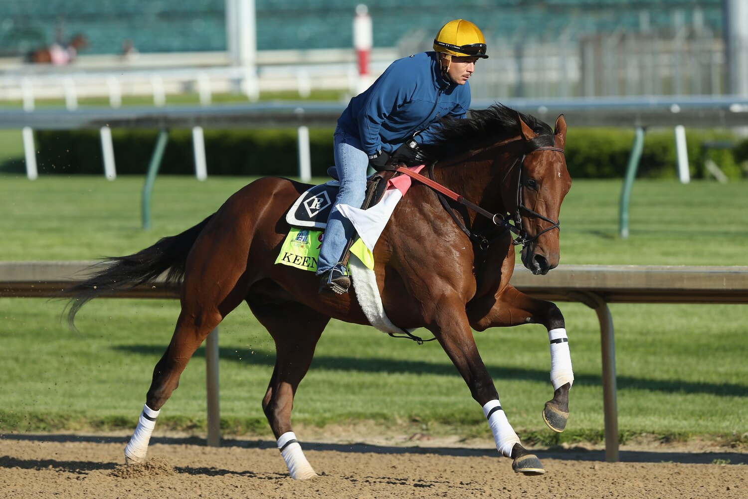 Kentucky Derby 2015 Horses, Jockeys with Best Odds of Winning at Churchill Downs Bleacher Report