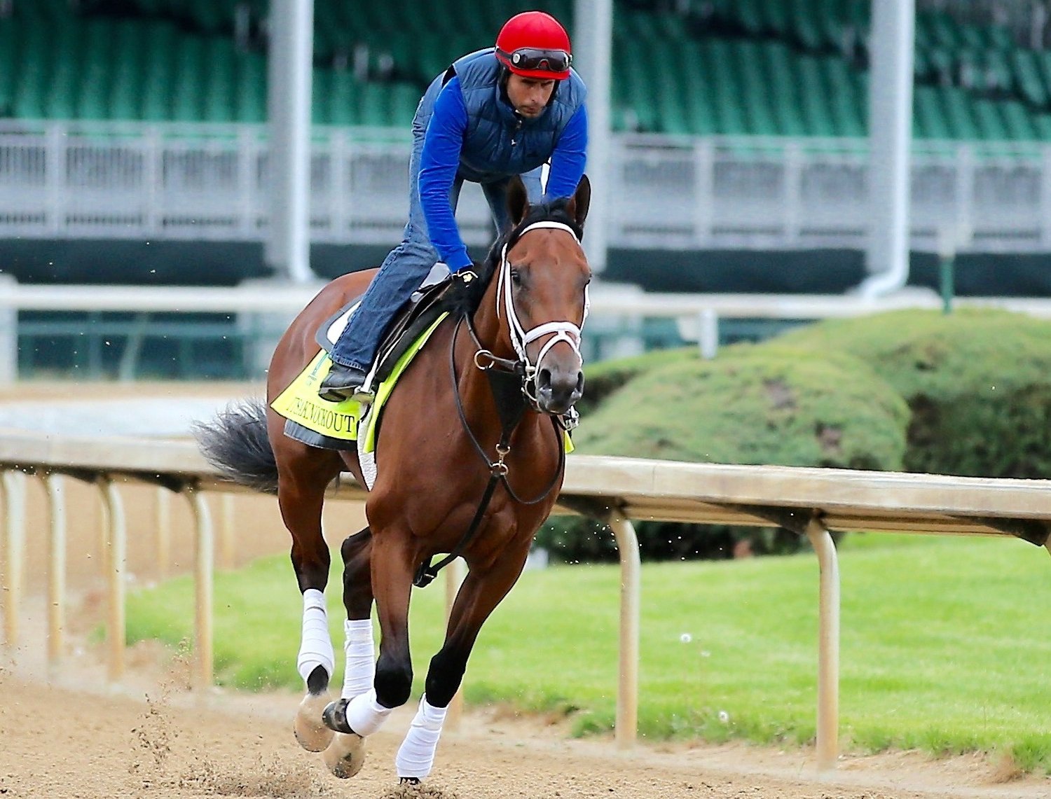 2015 Kentucky Derby Horses Ranking Every Contender at Churchill Downs