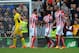 STOKE ON TRENT, ENGLAND - MAY 24: Mame Diouf of Stoke City celebrates scoring their first goal during the Barclays Premier League match between Stoke City and Liverpool at Britannia Stadium on May 24, 2015 in Stoke on Trent, England. (Photo by Tony Marshall/Getty Images)
