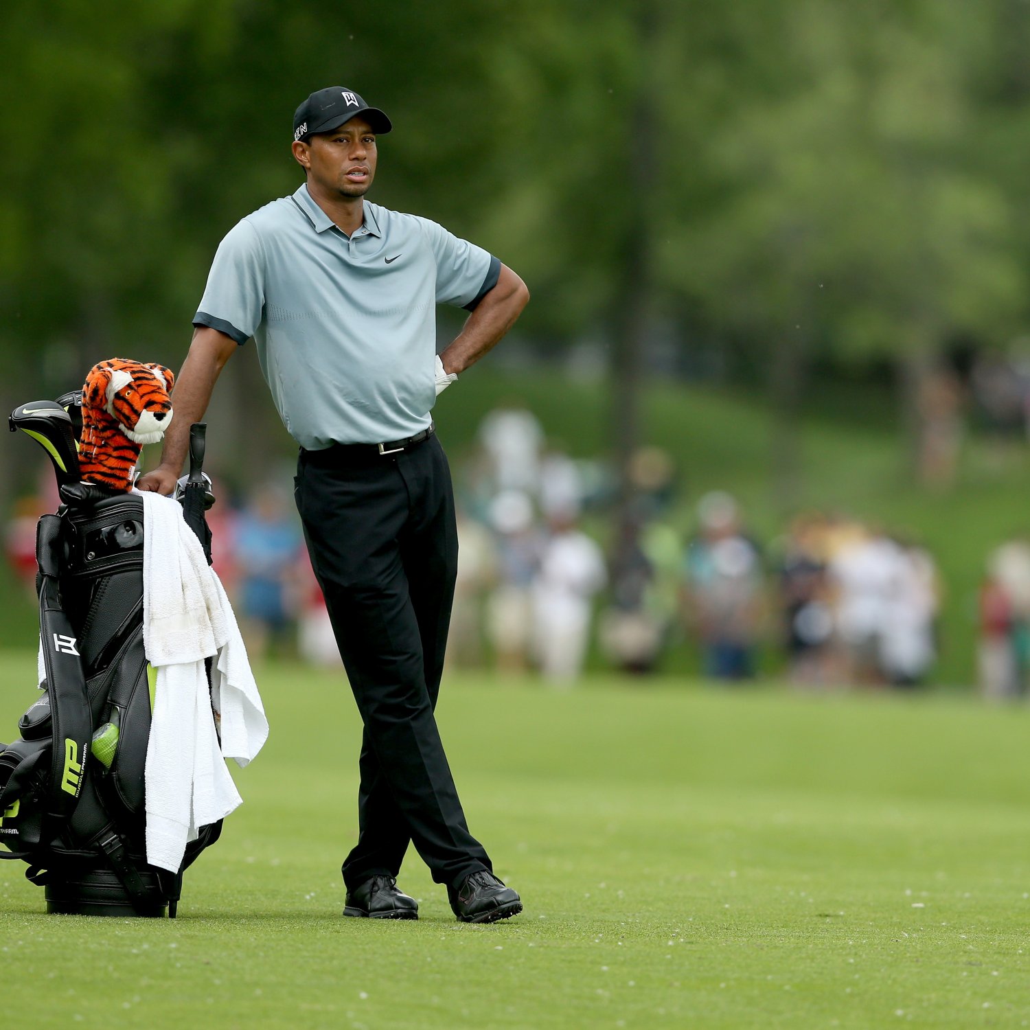 Tiger Woods at Memorial Tournament 2015: Saturday Leaderboard Score, Reaction ...
