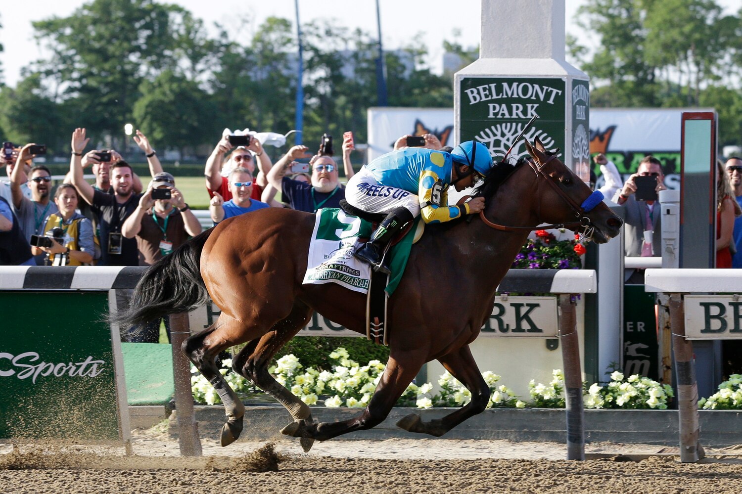 Triple Crown Winner 2015: Examining American Pharoah #39 s Historic Belmont Triple Crown Winner 2015: Examining American Pharoah #39 s Historic Belmont