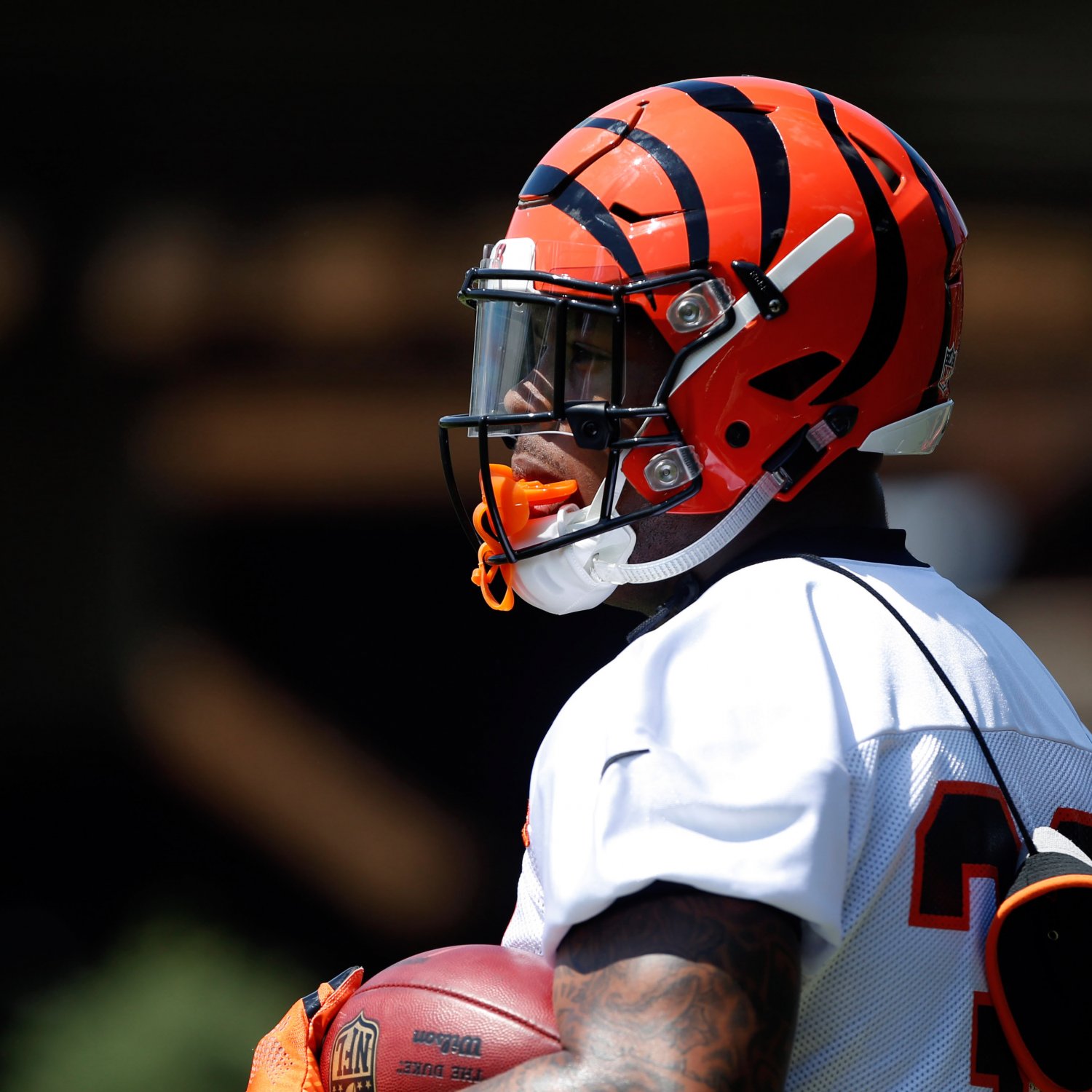 Bengals O Line Depth Chart