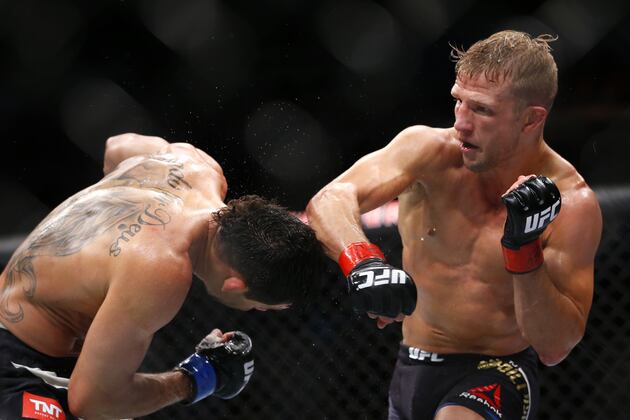 UFC on Fox 16 Results: Winners, Scorecards from Dillashaw vs. Barao 2 Fight Card