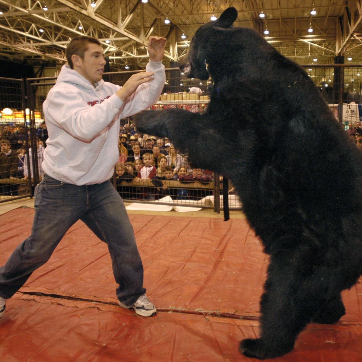 Exploring the Strange History of Pro Wrestlers Battling Bears Bleacher Report Latest News