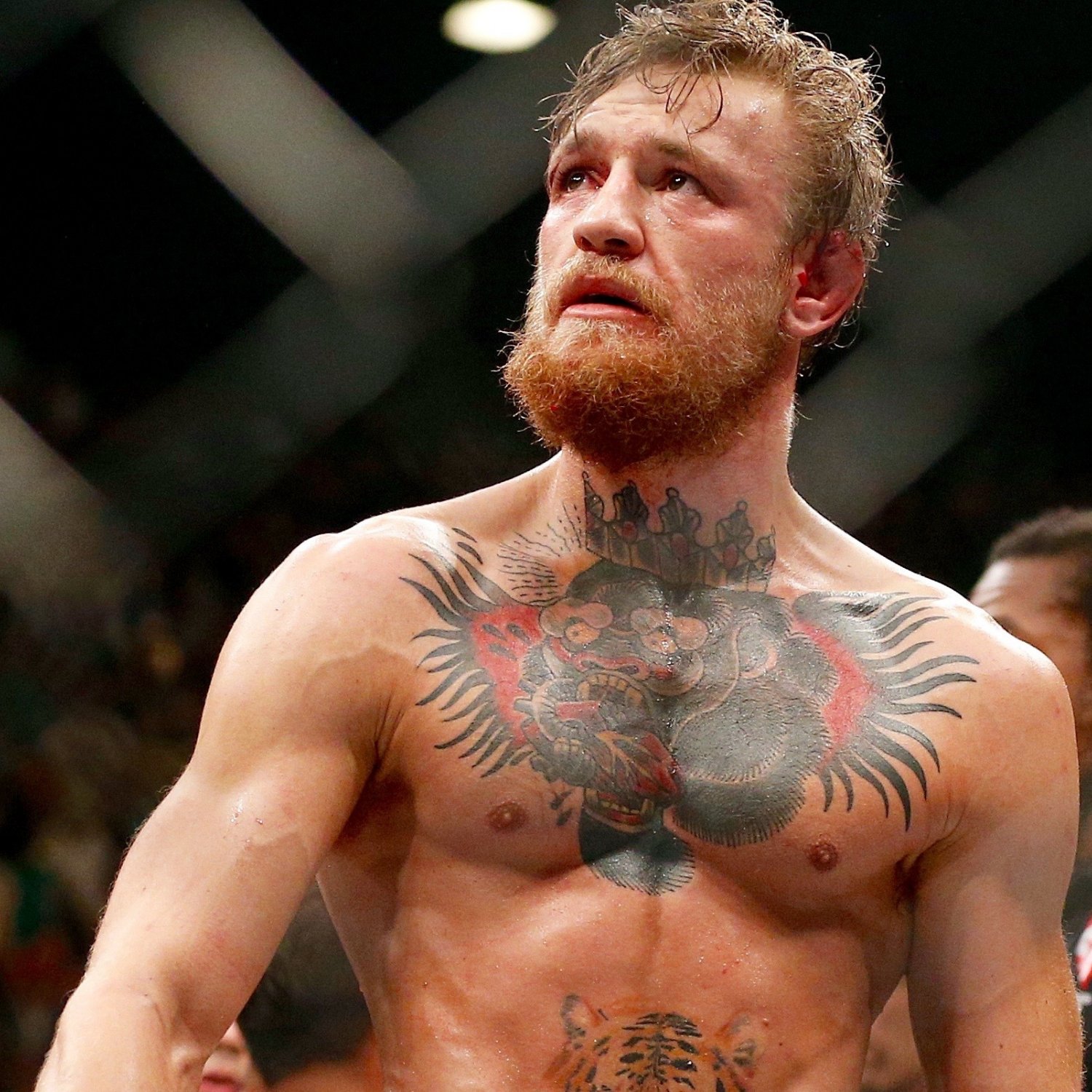 mcgregor conor gorilla bleacherreport several tiger