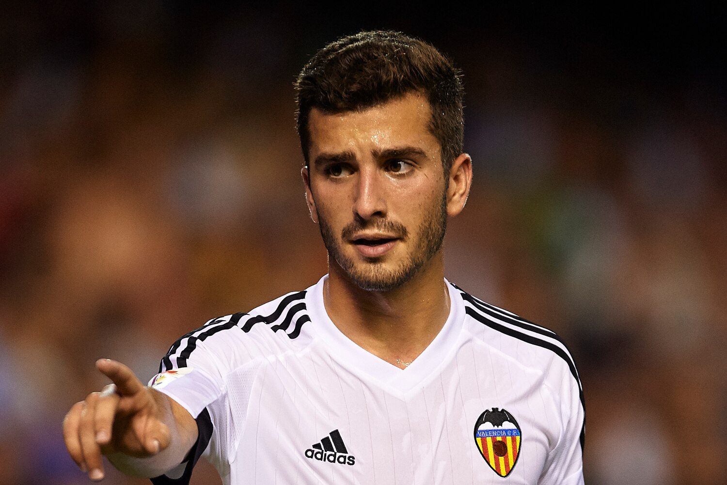 Jose Gaya Jose Gaya