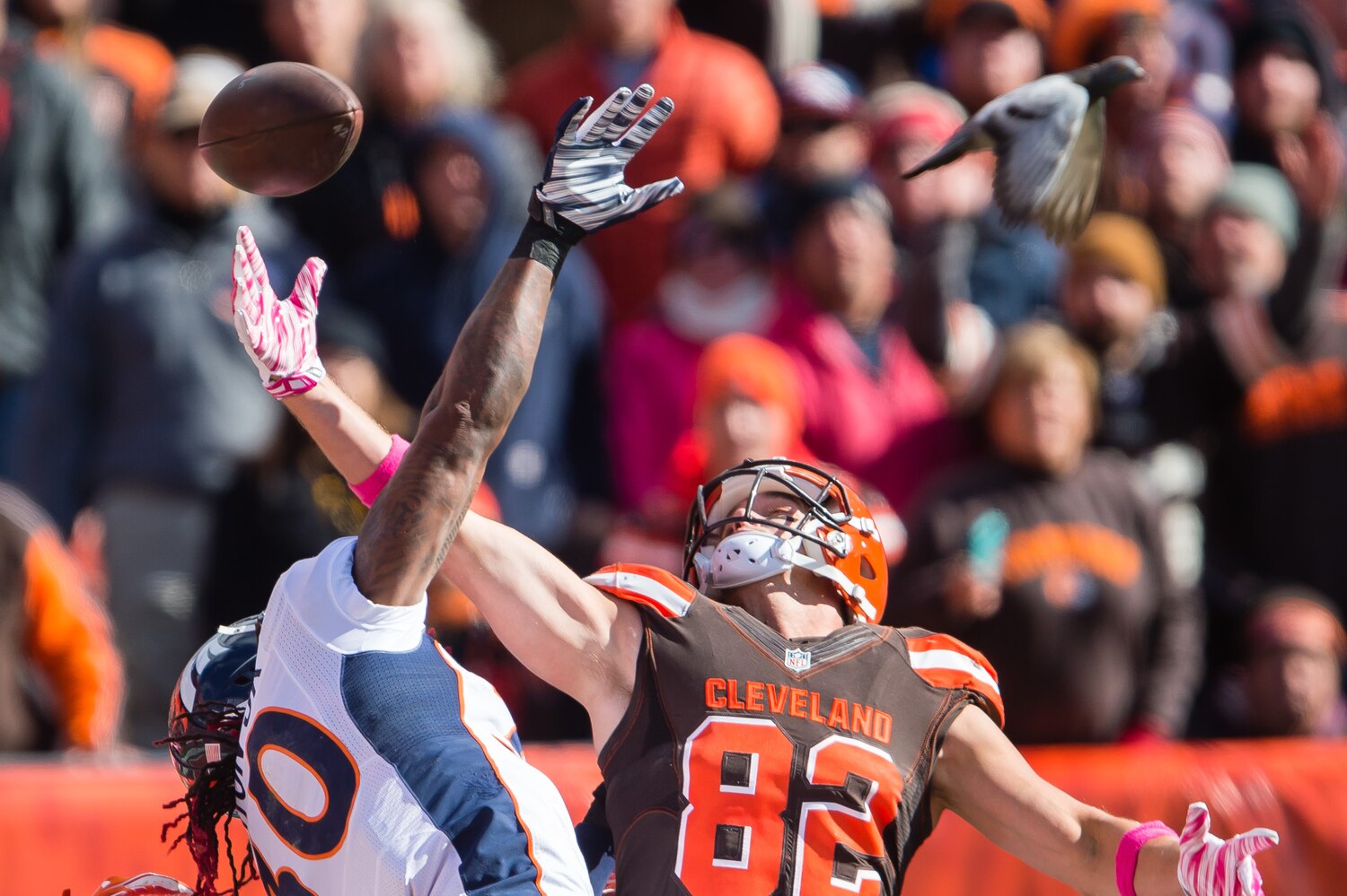 Broncos vs. Browns 2015 live stream: Start time, TV gamblock reviews schedule and how ...