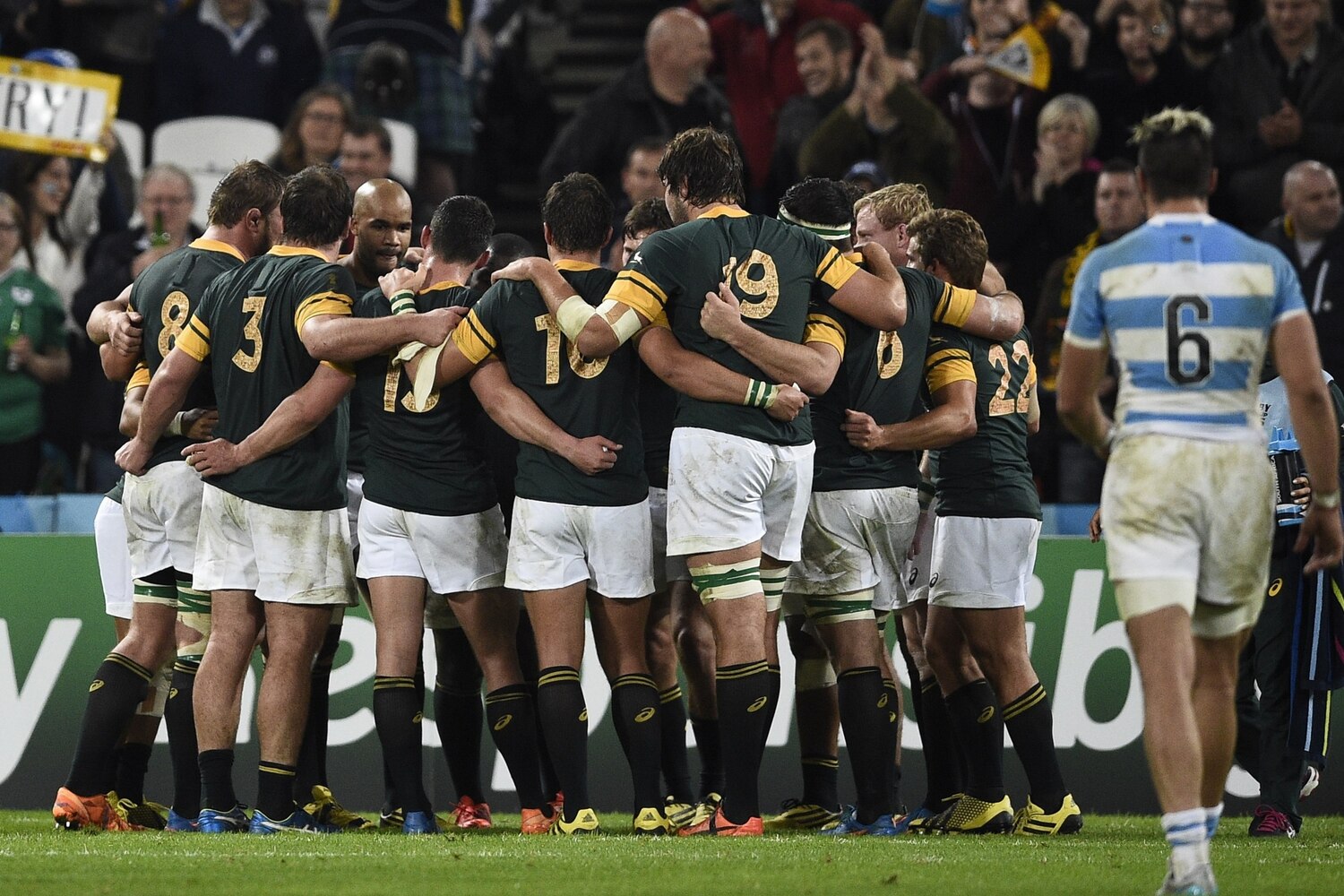 South Africa vs. Argentina: Rugby World Cup 2015 Bronze ... - 1500 x 1500 jpeg 397kB