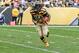 Pittsburgh Steelers running back DeAngelo Williams (34) plays in an NFL football game against the Cincinnati Bengals, Sunday, Nov. 1, 2015, in Pittsburgh. (AP Photo/Gene J. Puskar)