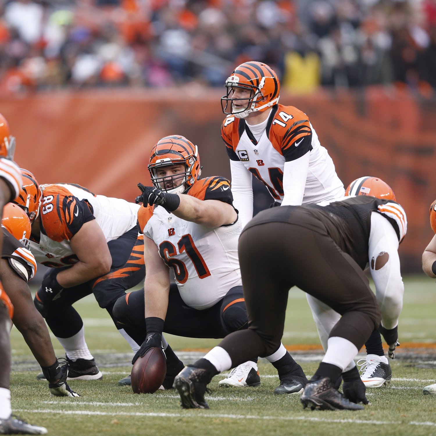 Cleveland Browns vs. Cincinnati Bengals Live Score, Highlights and