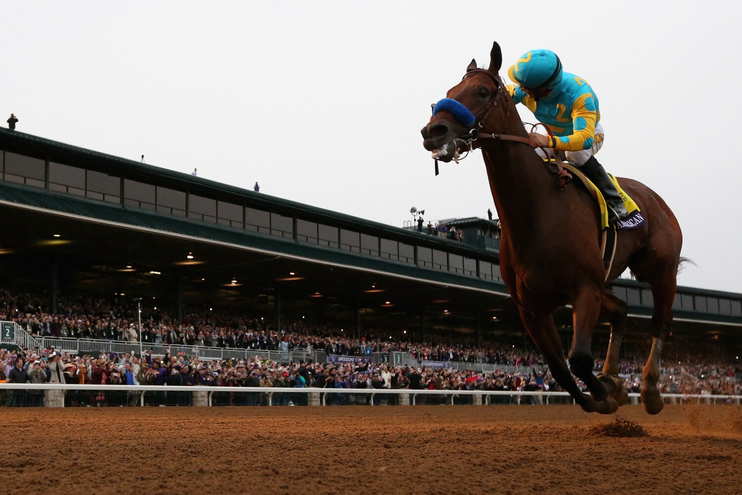 American Pharoah Stud Fee Will Be 200,000 Per Live Foal Bleacher Report