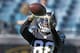 Jacksonville Jaguars wide receiver Allen Hurns (88) catches a pass as he warms up before an NFL football game against the San Diego Chargers in Jacksonville, Fla., Sunday, Nov. 29, 2015.(AP Photo/John Raoux)