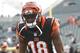 Cincinnati Bengals wideout A.J. Green leads the top Week 17 fantasy stars.