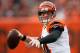 CLEVELAND, OH - DECEMBER 6: Andy Dalton #14 of the Cincinnati Bengals throws a second quarter pass while playing the Cleveland Browns at FirstEnergy Stadium on December 6, 2015 in Cleveland, Ohio. (Photo by Gregory Shamus/Getty Images)