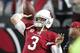 The Arizona Cardinals face the Carolina Panthers in Sunday's NFC Championship Game.