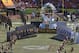 The All-Star football players are introduced before the NFL Pro Bowl football game, Sunday, Jan. 31, 2016, in Honolulu. (AP Photo/Eugene Tanner)