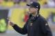 Michigan head coach Jim Harbaugh on the field during the first half of the Citrus Bowl NCAA college football game against Florida , Friday, Jan. 1, 2016, in Orlando, Fla. (AP Photo/John Raoux)
