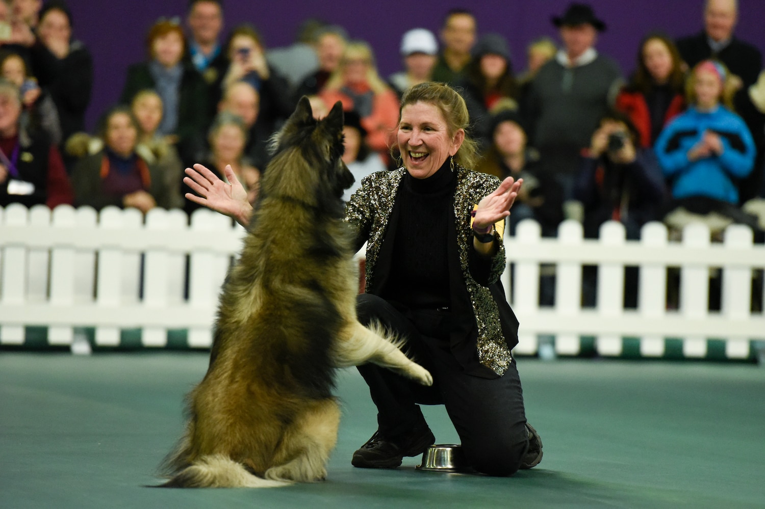 Wkc Dog Show Tv Schedule Wkc Dog Show Tv Schedule