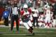 Arizona Cardinals running back Chris Johnson (23) against the San Francisco 49ers during the first half of an NFL football game in Santa Clara, Calif., Sunday, Nov. 29, 2015. (AP Photo/Tony Avelar)