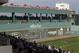 Fans watch a spring training baseball game between the Tampa Bay Rays and the Boston Red Sox in Fort Myers, Fla., Friday, March 4, 2016. (AP Photo/Patrick Semansky)