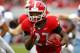 Georgia RB Nick Chubb