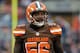 Cleveland Browns linebacker Karlos Dansby during an NFL football game against the Pittsburgh Steelers in Cleveland, Ohio Sunday, Jan. 3, 2016. (Winslow Townson/AP Images for Panini)