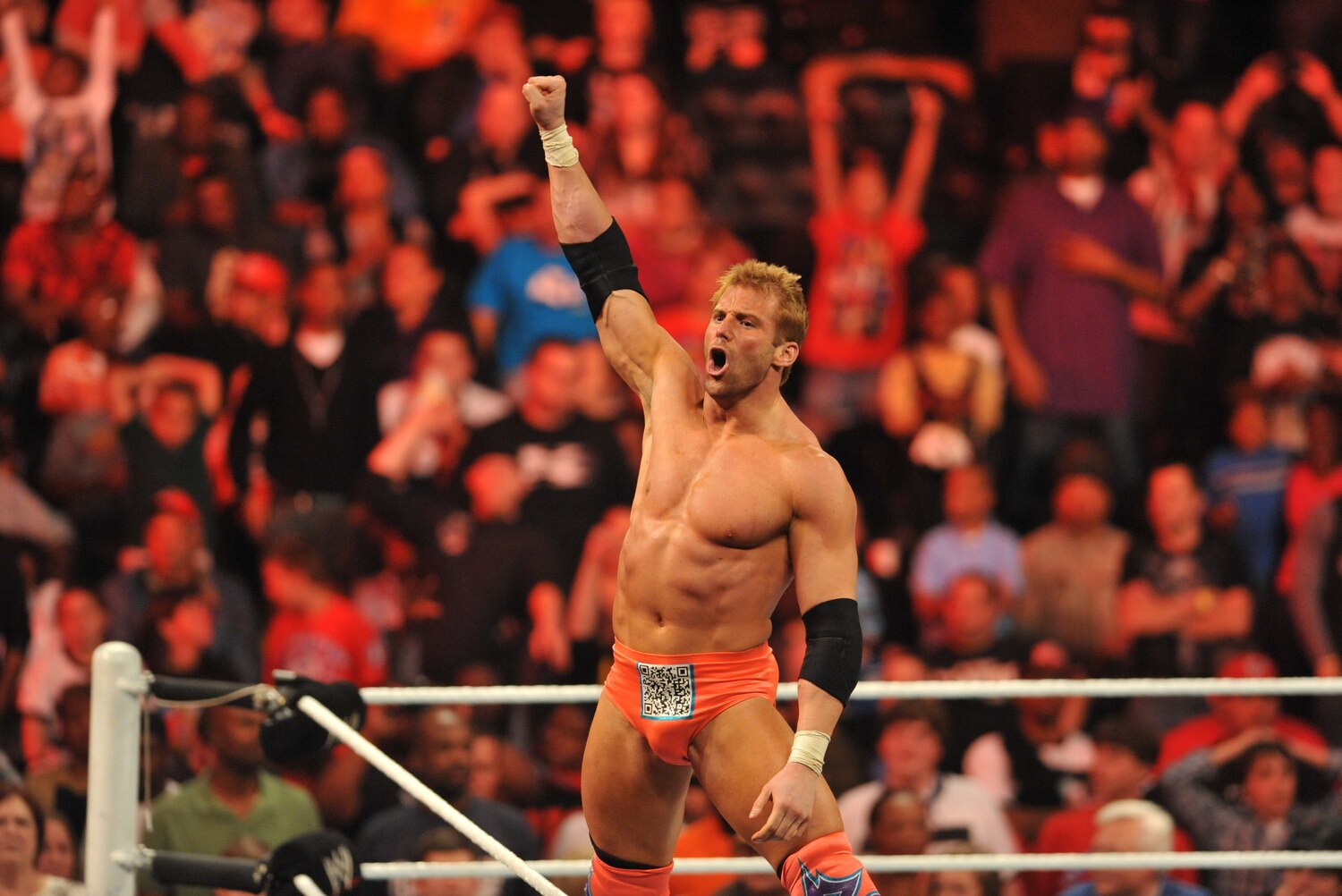 Wwe Com Long Island Wwe Com Long Island