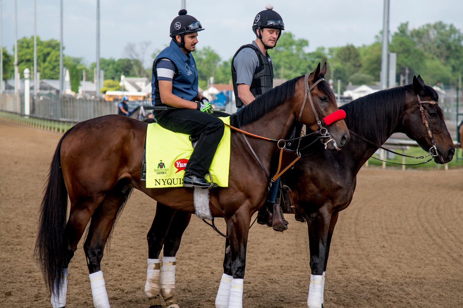 Kentucky Derby 2016 Odds Latest Vegas Betting Lines for Churchill