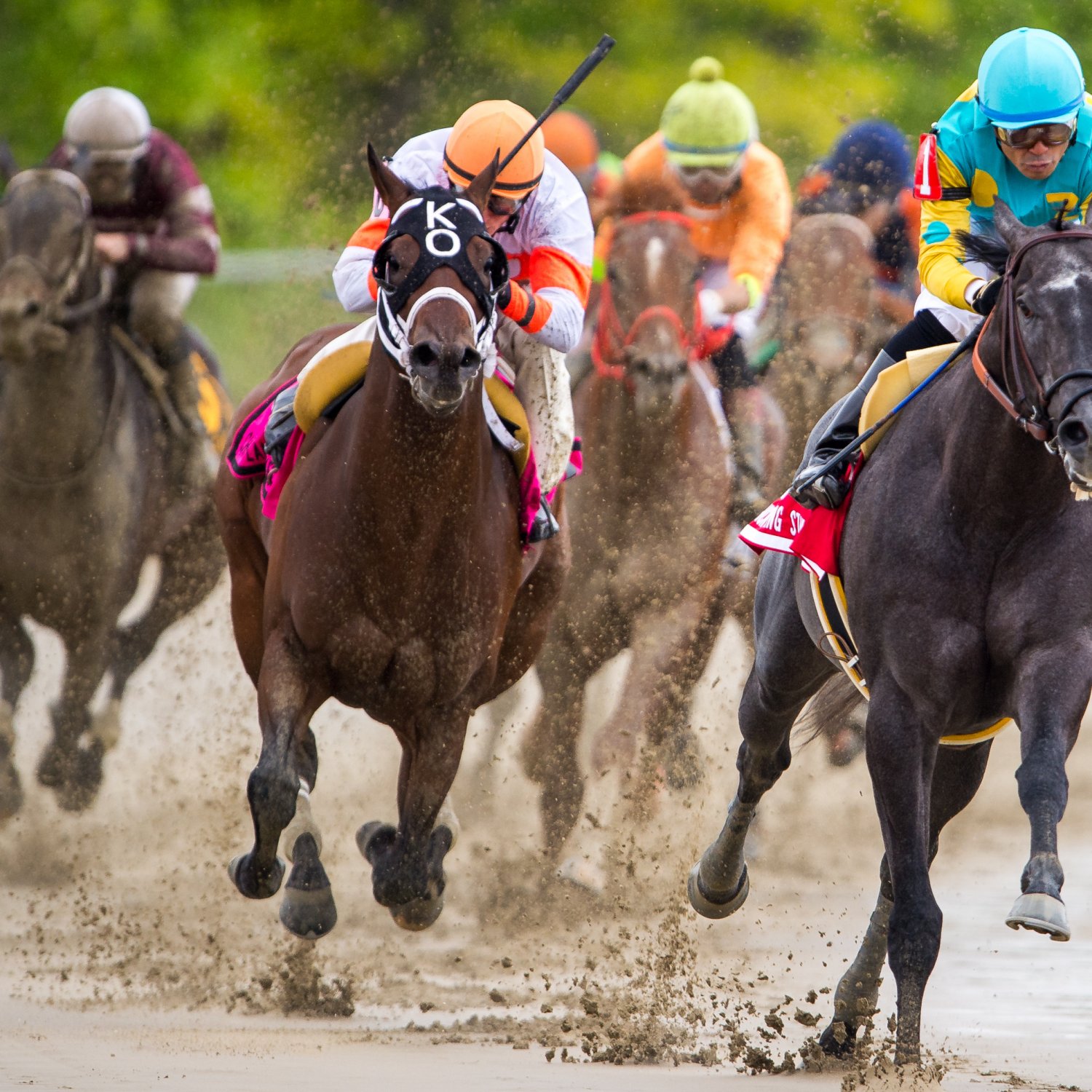 Preakness Results 2016 Winner, Payouts and Order of Finish Bleacher