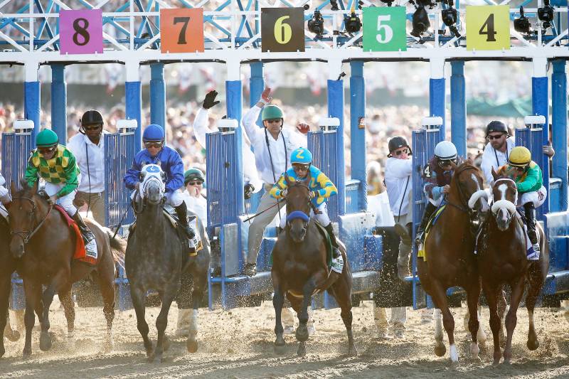 How many horses are in the field at the Belmont Stakes?