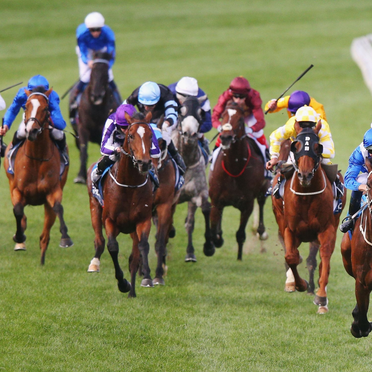 TodayS Horse Racing Betting Odds