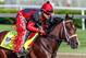 LOUISVILLE, KENTUCKY - MAY 01: Classic Empire, owned by John Oxley and trained by Mark E. Casse, exercises in preparation for the Kentucky Derby at Churchill Downs on May 1, 2017 in Louisville, Kentucky. (Photo by Jesse Caris/Eclipse Sportswire/Getty Images)