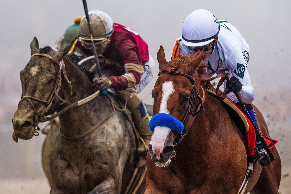 Belmont Stakes 2018: Prize-Money Purse, Post Time, Vegas Odds Payouts and More