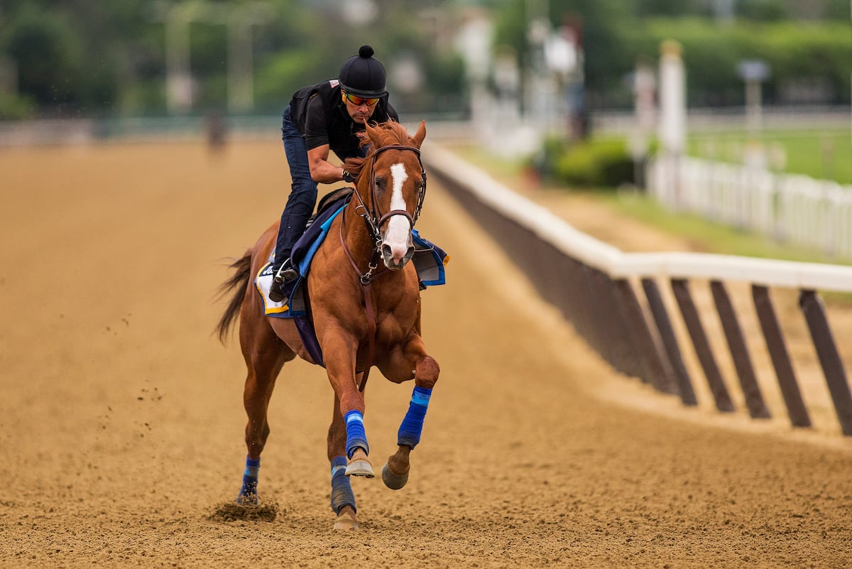 Belmont Stakes 2018: Projected Prize Money Earnings, Order of Finish and More