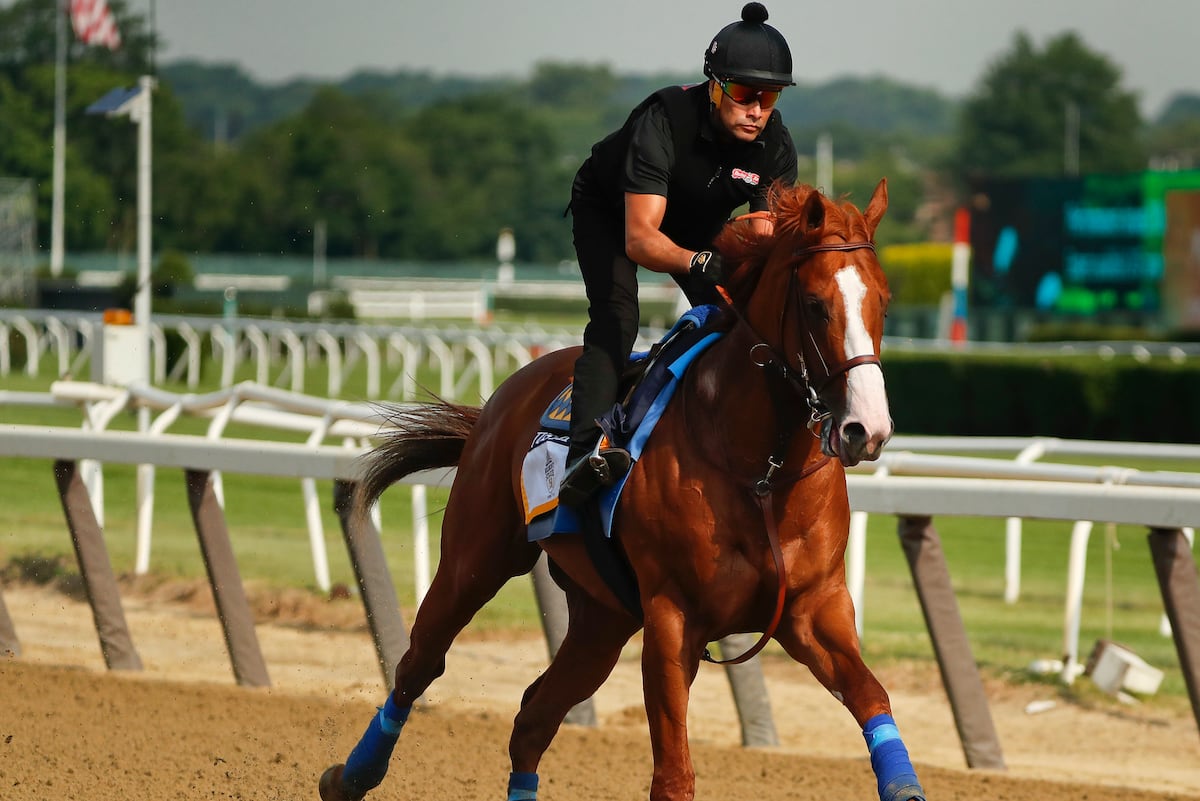 Belmont Stakes 2018: Post Time, TV Coverage, NBC Live Stream and Purse Payout