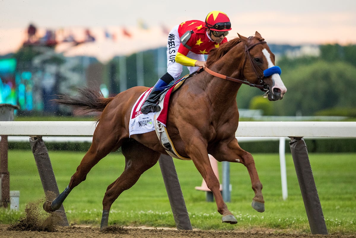 Report: Justify's Breeding Rights Are Record $75M After Winning Triple Crown